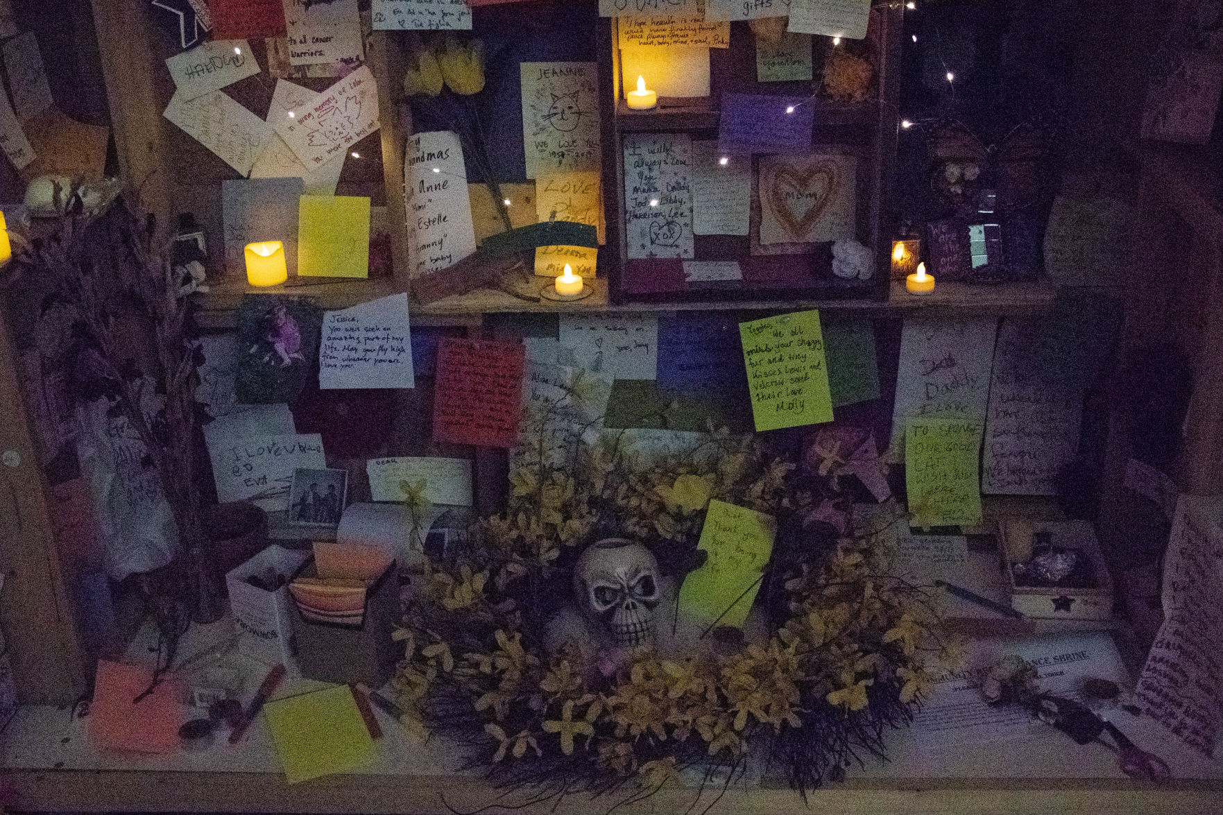 Day of the Dead 9